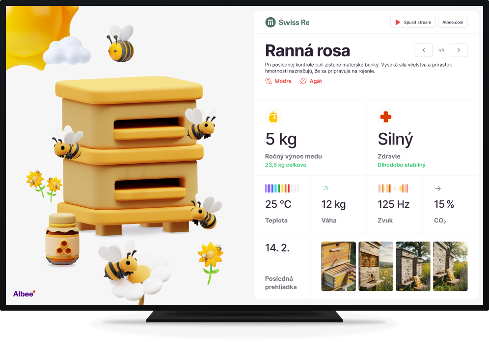 Hive presentation mode on a large screen